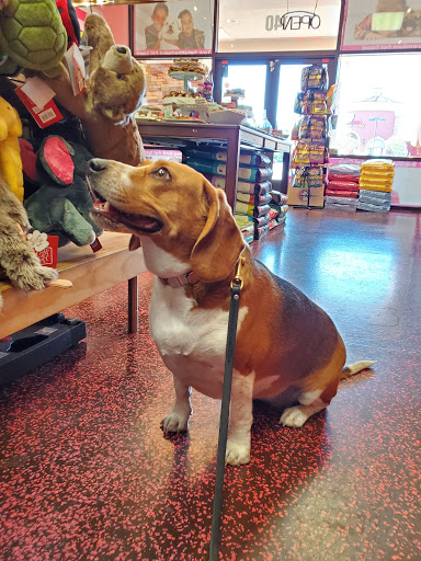 Pet Groomer «Woof Gang Bakery & Grooming Las Vegas», reviews and photos, 7080 N Durango Dr #140, Las Vegas, NV 89149, USA