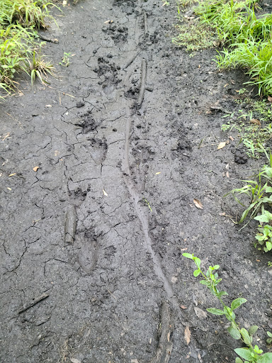 Nature Preserve «Duette Preserve», reviews and photos, 2649 Rawls Rd, Parrish, FL 34219, USA