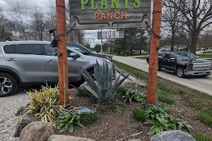 Groovy Plants Ranch image