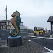 Seahorse Oceanfront Lodging