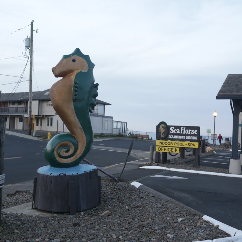 Seahorse Oceanfront Lodging