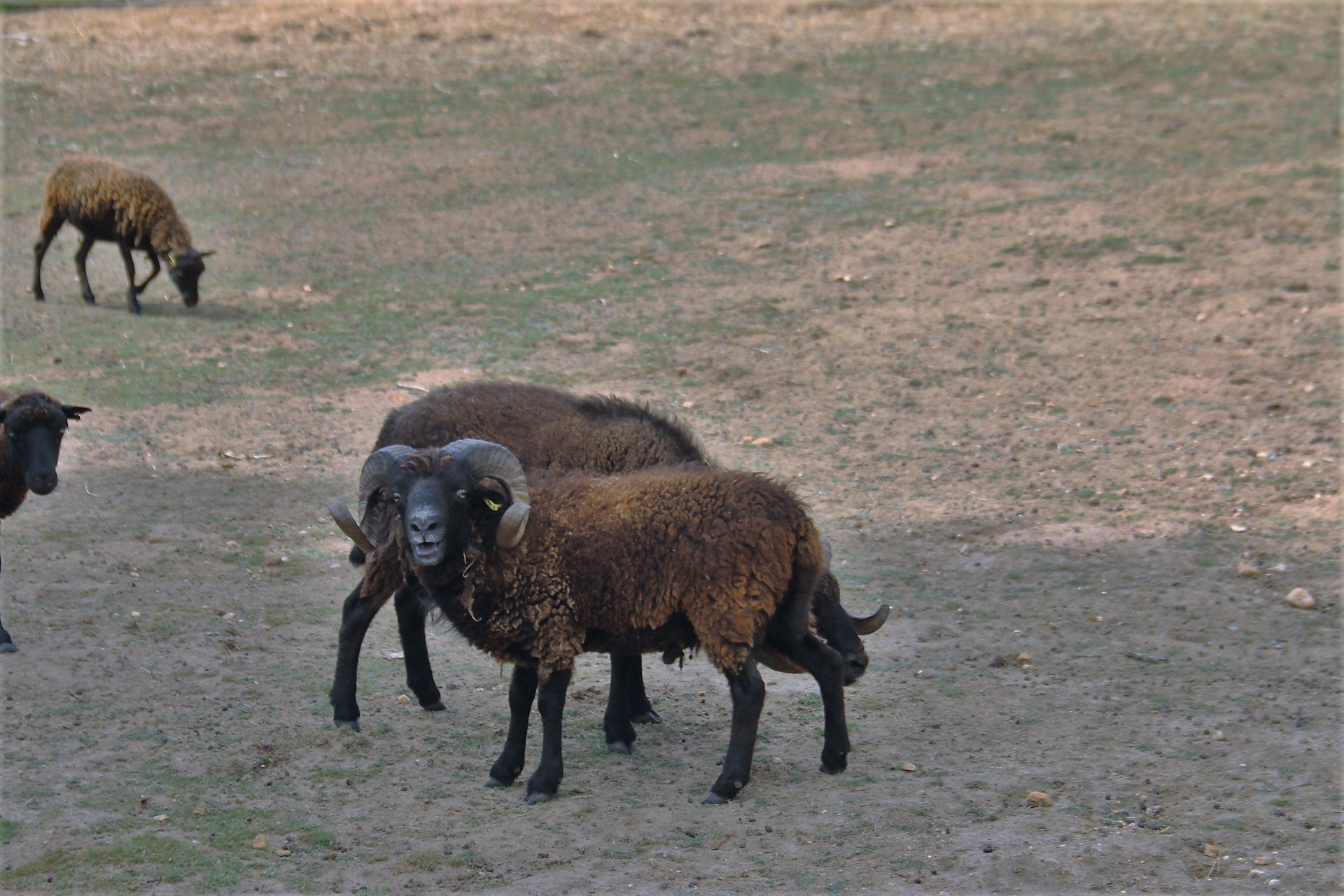 Photo n° 13 de l'avis de Patrice.o fait le 18/08/2023 à 18:06