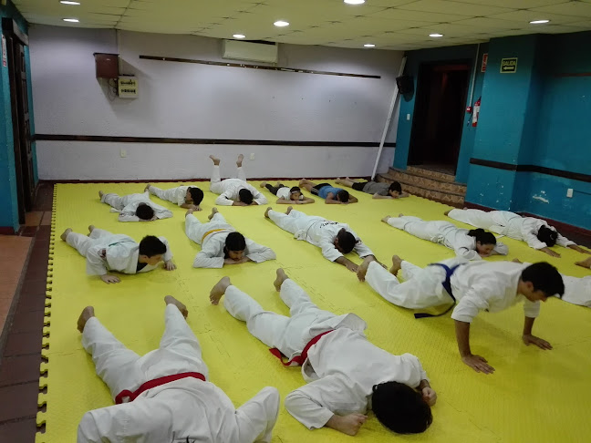 Opiniones de Escuela de Taekwondo Do San en Montevideo - Gimnasio