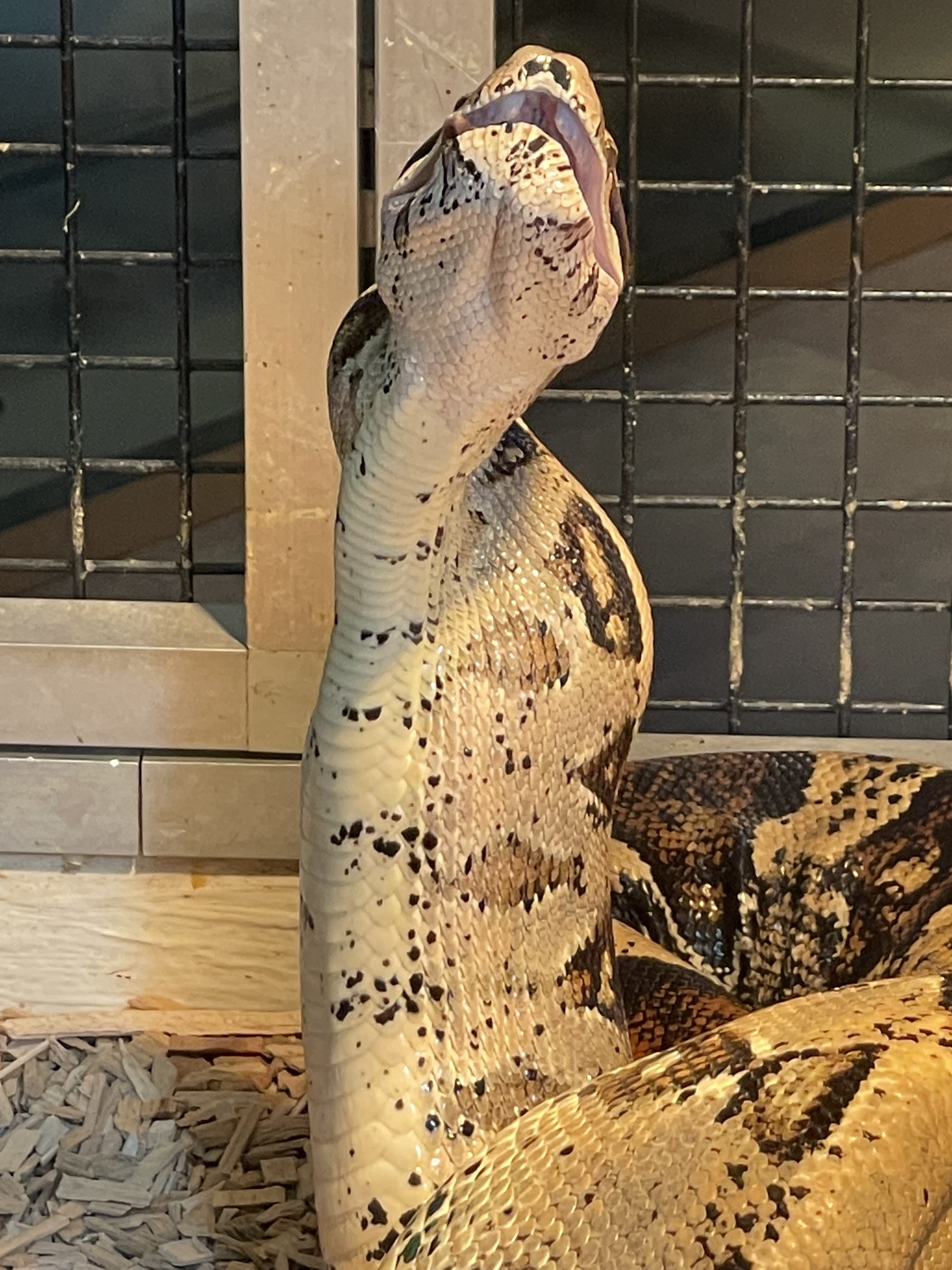 Photo n° 8 de l'avis de joel.u fait le 22/09/2021 à 14:33