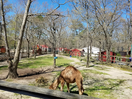 Auto Parts Store «Advance Auto Parts», reviews and photos, 1001 E Black Horse Pike, Pleasantville, NJ 08232, USA