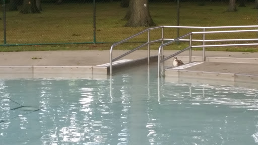 Park «Lions Park Lodge», reviews and photos, 641 Silver Lake Ave, Cuyahoga Falls, OH 44221, USA