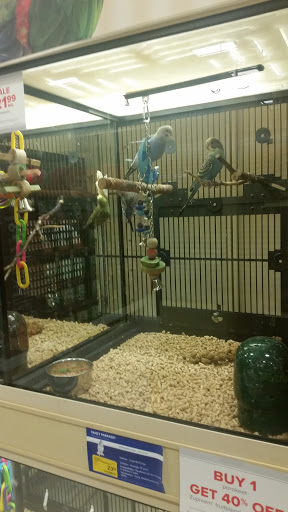 Pet Supply Store «PetSmart», reviews and photos, 1013 W University Ave, Georgetown, TX 78628, USA