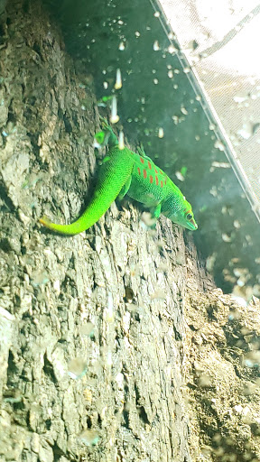 Amusement Center «OdySea in the Desert», reviews and photos, 9500 East Vía de Ventura, Scottsdale, AZ 85256, USA