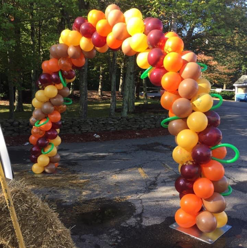 Balloon Creations