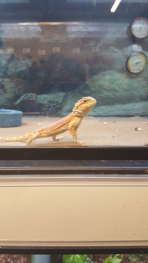 Pet Supply Store «Petco Animal Supplies», reviews and photos, 35860 Chester Rd, Avon, OH 44011, USA