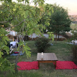 Photo n°5 de l'avis de Gianluca.i fait le 18/03/2024 à 14:35 sur le  La Collina da Pifin à Castelvecchio