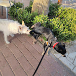 Photo n°11 de l'avis de Massimo.c fait le 28/07/2021 à 13:24 sur le  Tenuta Bellaprima à Niscemi