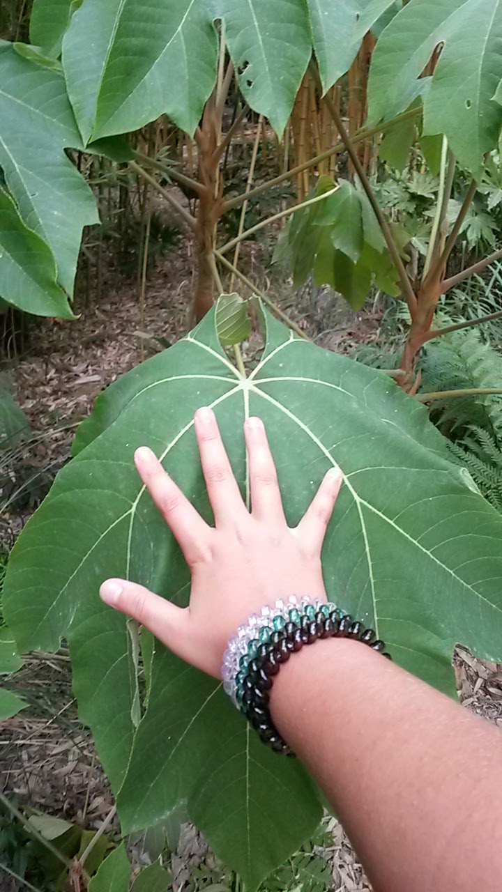 Photo n° 3 de l'avis de Núria.a fait le 30/08/2018 à 09:26