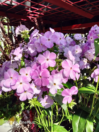 Home Improvement Store «The Home Depot», reviews and photos, 5025 Jericho Turnpike, Commack, NY 11725, USA