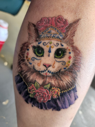 Find cat tattoos ideas for your next unique tattoo in Foley at Next Level Tattoo