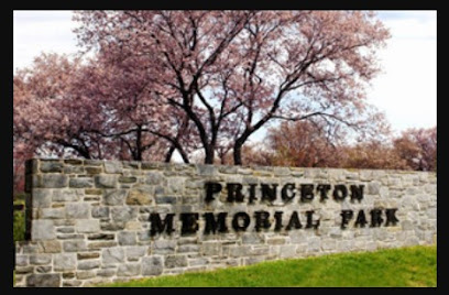 Tree Service near Princeton Memorial Park & Mausoleum NJ