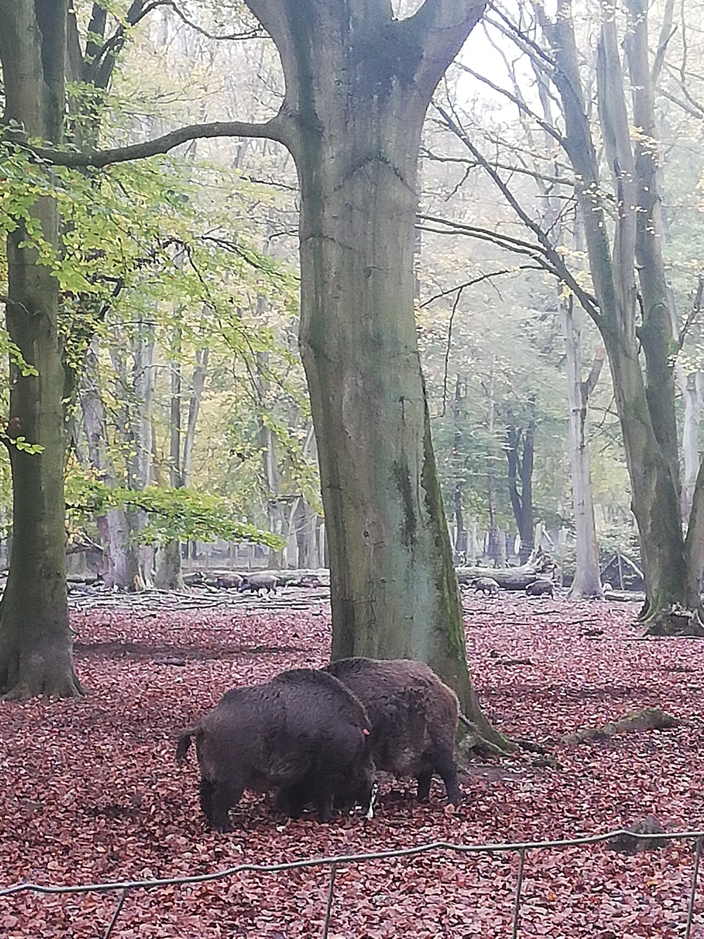 Photo n° 6 de l'avis de Marie.a fait le 09/03/2023 à 17:15