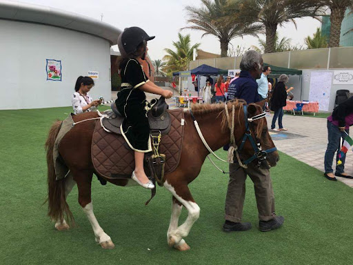 Al Dhabi Horse Riding