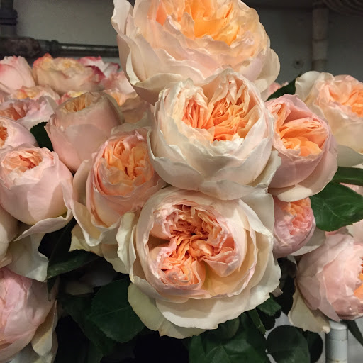 Florist «Green Cottage», reviews and photos, 1204 NY-213, High Falls, NY 12440, USA