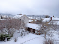 Les Mycorhizes Gérardmer