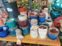 Meador's Garden Center & Landscaping - Photo 9 - Car repair in Denton, TX, Denton