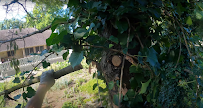 Expert Tree Service Montgomery - Photo 6 - Car repair in Montgomery, AL, Montgomery