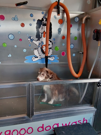 Pet Groomer «Belly scRubs Self Service Pet Wash», reviews and photos, 119 WV-34 #1, Hurricane, WV 25526, USA