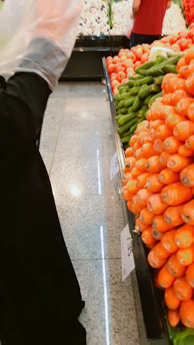 فرسان للسفر والسياحة