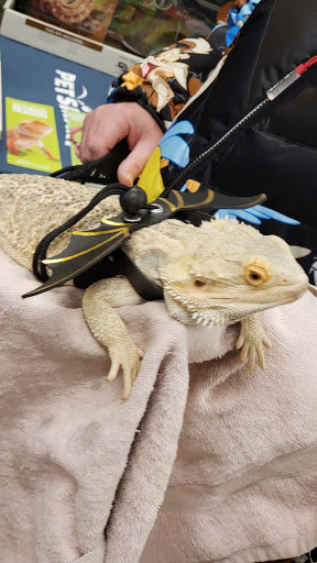 Pet Supply Store «PetSmart», reviews and photos, 162 S Gary Ave, Bloomingdale, IL 60108, USA