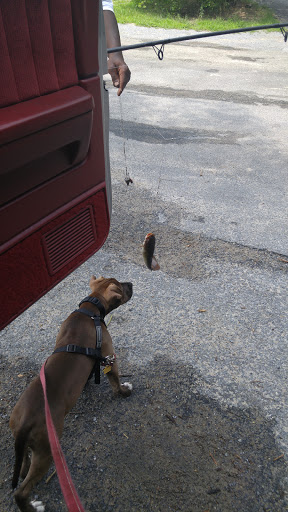 Pet Supply Store «Petco Animal Supplies», reviews and photos, 1574 N Dupont Hwy #300, Dover, DE 19901, USA