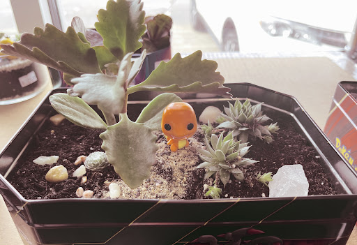 Video Game Store «Legacy Games», reviews and photos, 15086 Claret Ave W, Rosemount, MN 55068, USA