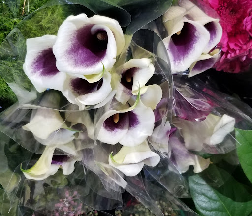 Florist «Flower Market», reviews and photos, 5851 Wiles Rd, Coral Springs, FL 33067, USA