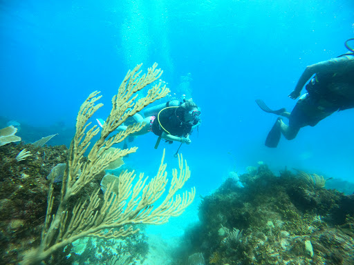 Grand Bay of the Sea , Dive Center