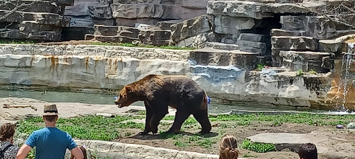Zoo «Arctic Ring of Life», reviews and photos, 8450 W 10 Mile Rd, Royal Oak, MI 48067, USA