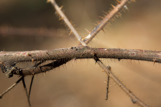 Nature Preserve «Rancocas Nature Center», reviews and photos, 794 Rancocas Mt Holly Rd, Westampton, NJ 08060, USA