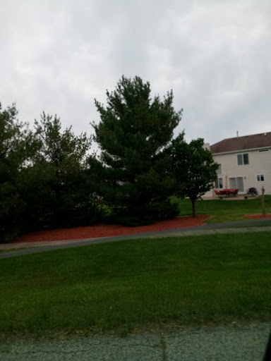 Community Center «Matteson Community Center», reviews and photos, 20642 Matteson Ave, Matteson, IL 60443, USA