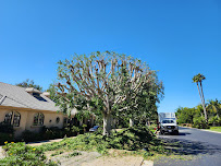 Marvin's Tree Services & Landscaping - Photo 2 - Car repair in Encinitas, CA, Carlsbad