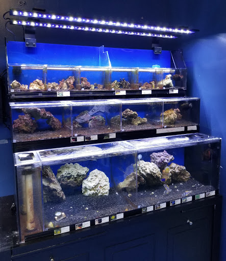 Pet Store «A Family Pet Center», reviews and photos, 6230 N Lockwood Ridge Rd, Sarasota, FL 34243, USA