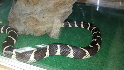 Photos of Dragon Rock Reptile and Nature Park
