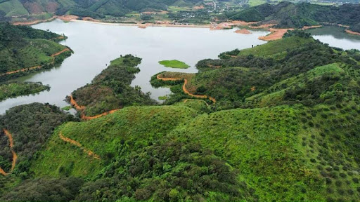 Top 20 background cửa hàng Huyện Cát Tiên Lâm Đồng 2022