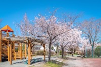 富岡３丁目緑地