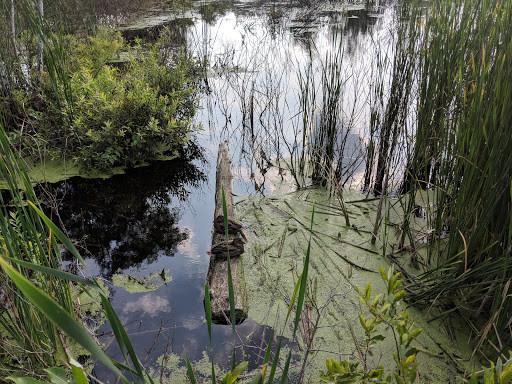 Casino «Leelanau Sands Casino & Lodge», reviews and photos, 2521 N West Bay Shore Dr, Peshawbestown, MI 49682, USA