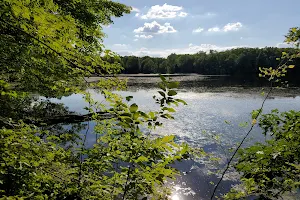 Lake Minnawanna image