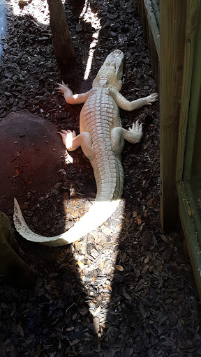 Event Venue «River House Events», reviews and photos, 179 Marine St, St Augustine, FL 32084, USA