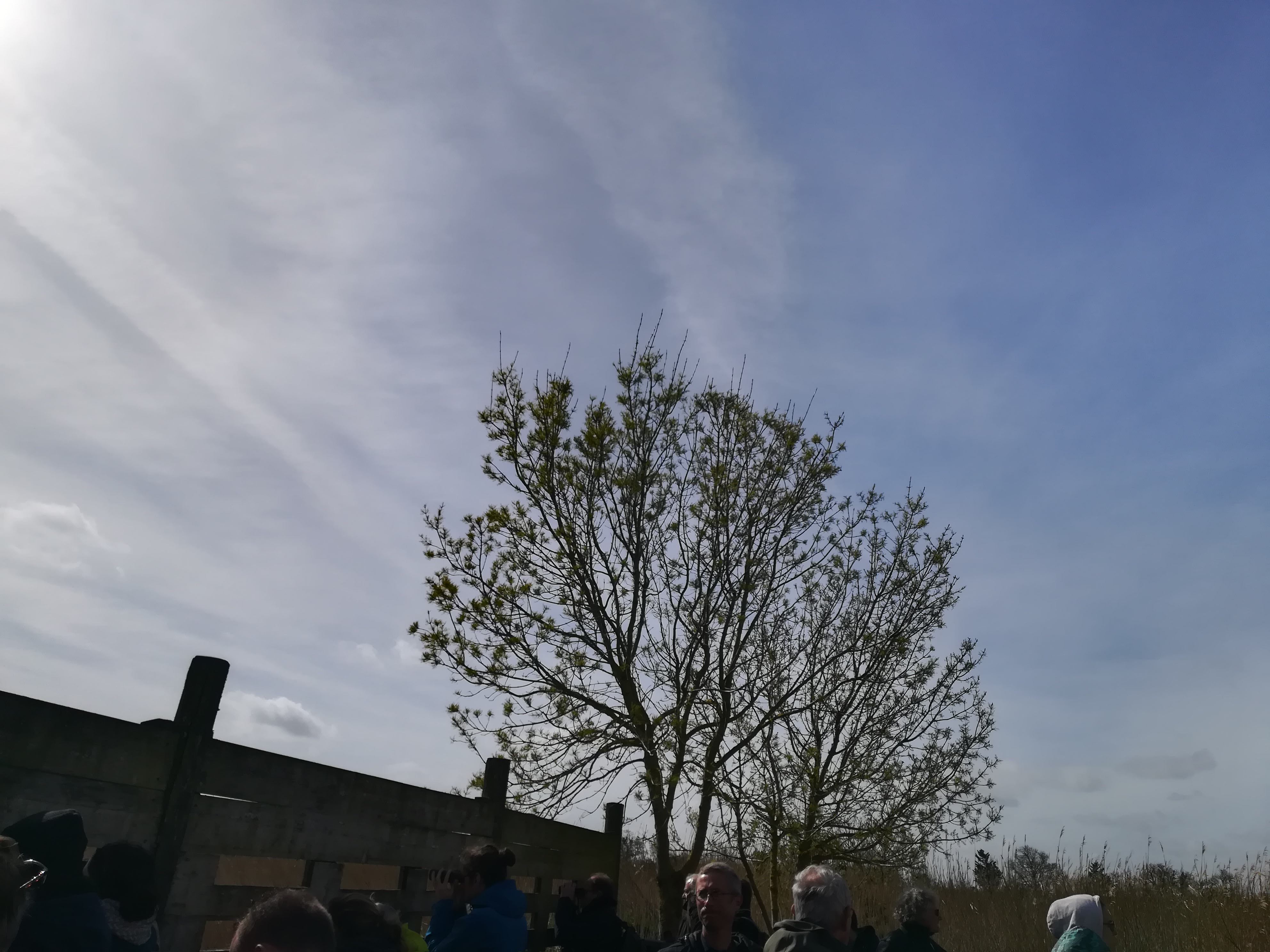Photo n° 41 de l'avis de Nathalie.e fait le 12/03/2019 à 11:58