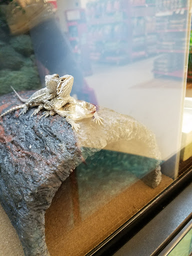 Pet Supply Store «Petco Animal Supplies», reviews and photos, 103 Commerce Way a, Woburn, MA 01801, USA