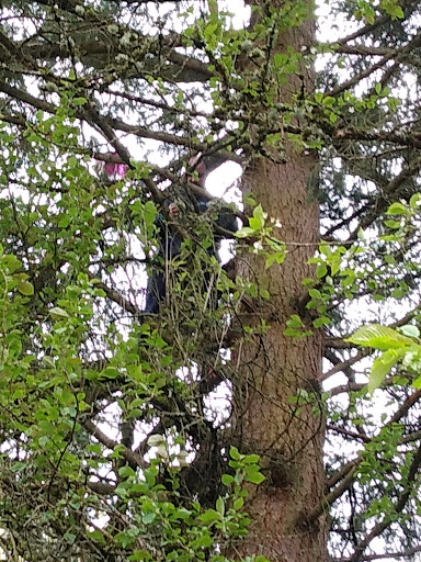 Park «Sacajawea Park», reviews and photos, 1401 S Dash Point Rd, Federal Way, WA 98003, USA