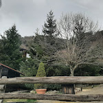 Photo n°16 de l'avis de Shinigami.n fait le 10/03/2024 à 16:19 sur le  Ristorante Bar La Baita à Saracinesco