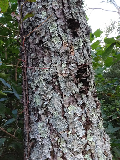 Nature Preserve «Elizabethtown Nature Park», reviews and photos, 1900 Ring Rd, Elizabethtown, KY 42701, USA