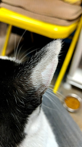 Pet Supply Store «PetSmart», reviews and photos, 7 U.S. 9, Manalapan Township, NJ 07726, USA